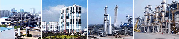 Construction and Infrastructure Project Services