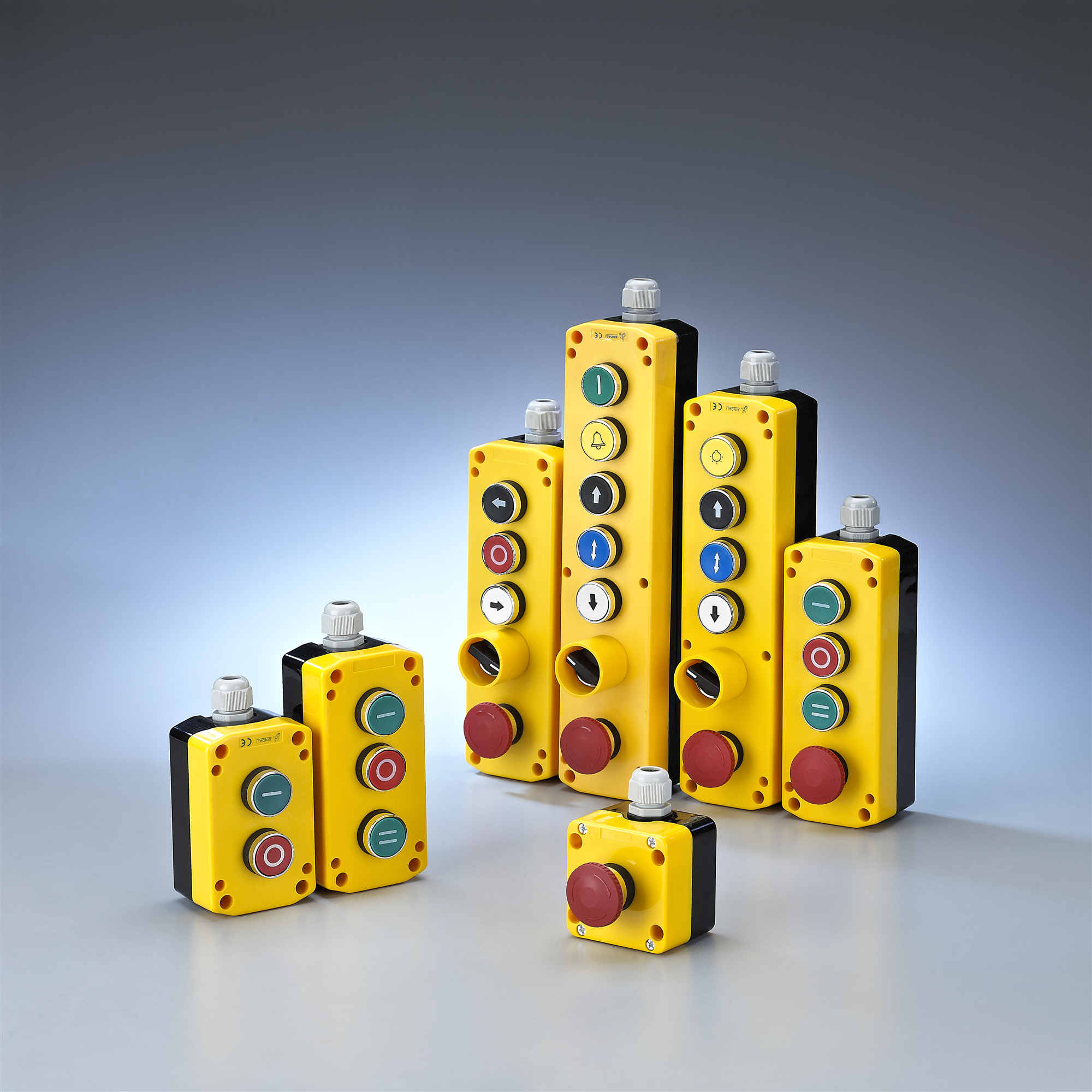 control switch - Image 2