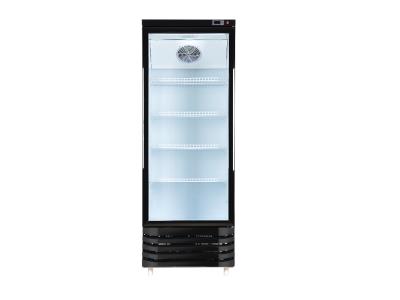 Commercial Cool and Heat Display Showcase