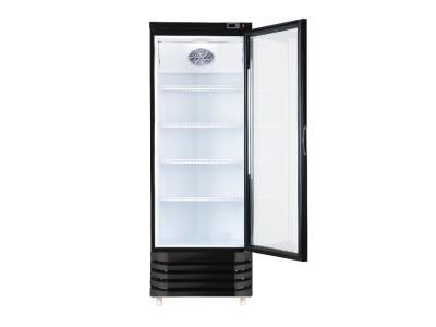 Heated and Cooled Display Showcase