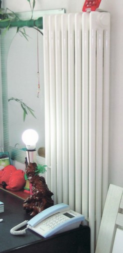 Vertical Column Radiator for Home Heating