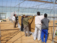 Cooling pad wall - Image 2