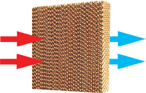Cooling pad - Image 2