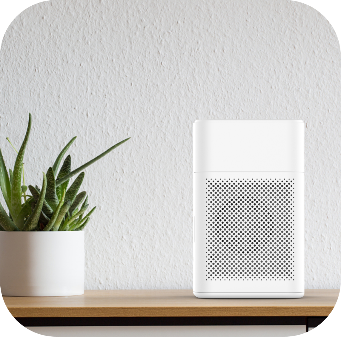 Desktop Air Purifier Humidifier with HEPA Filter
