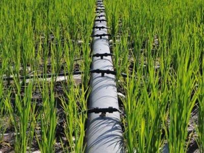 [copy]Single blade labyrinth drip irrigation tape - Image 3