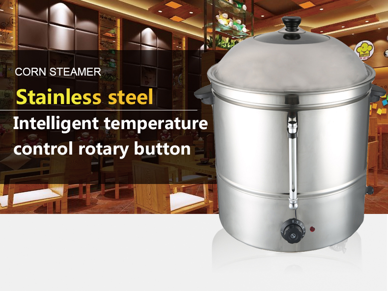 Electric corn steamer with rotary temperature control dial