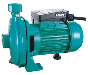Clean Water Centrifugal Pump