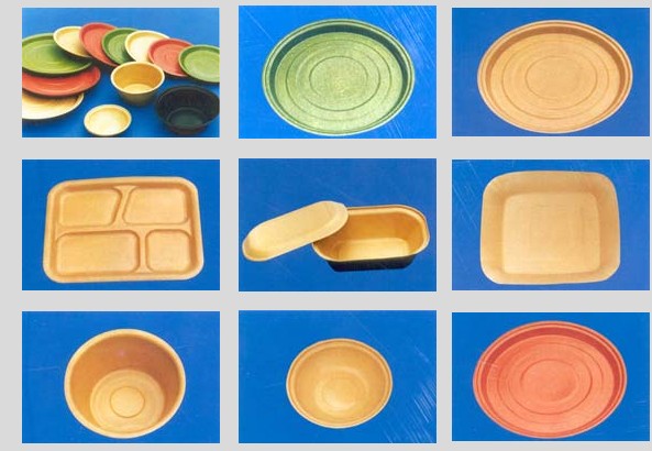 Eco-Friendly Disposable Tableware Set