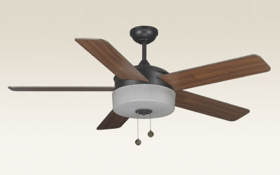 Indoor Ceiling Fan with Light