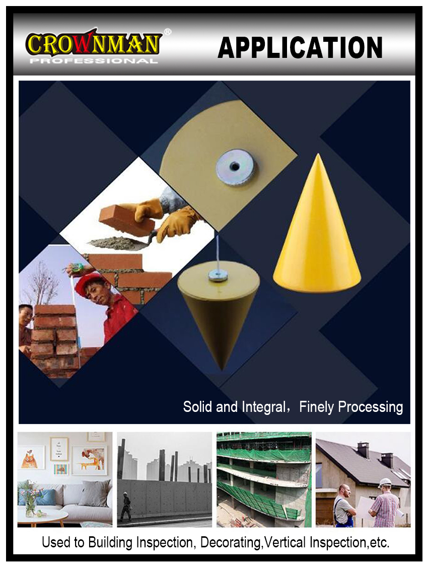Plumb bob application for building inspection and vertical alignment