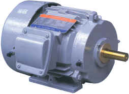 Industrial Crushing and Culling Machine