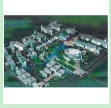 Material Crushing and Sorting Machine
