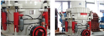 Industrial Crushing and Culling Machine