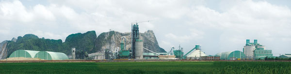 Industrial Material Crushing and Culling Machine
