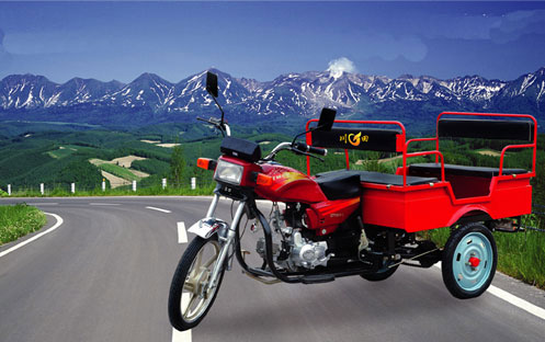 Passenger and Cargo Three-Wheeled Bicycle