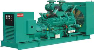 Diesel Power Generator Set