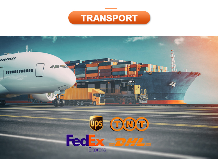 Global logistics and transport options