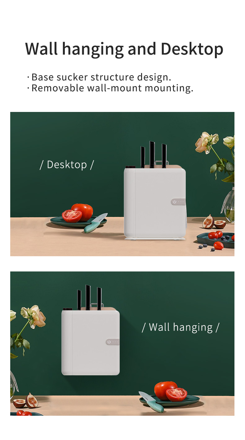 Wall hanging and desktop mounting options