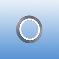 Spiral Wound Gasket