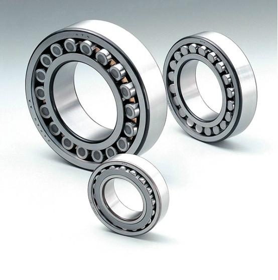 Cylindrical Roller Bearing