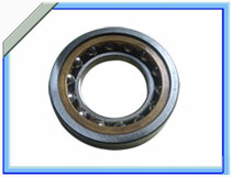 Cylindrical Roller Bearing