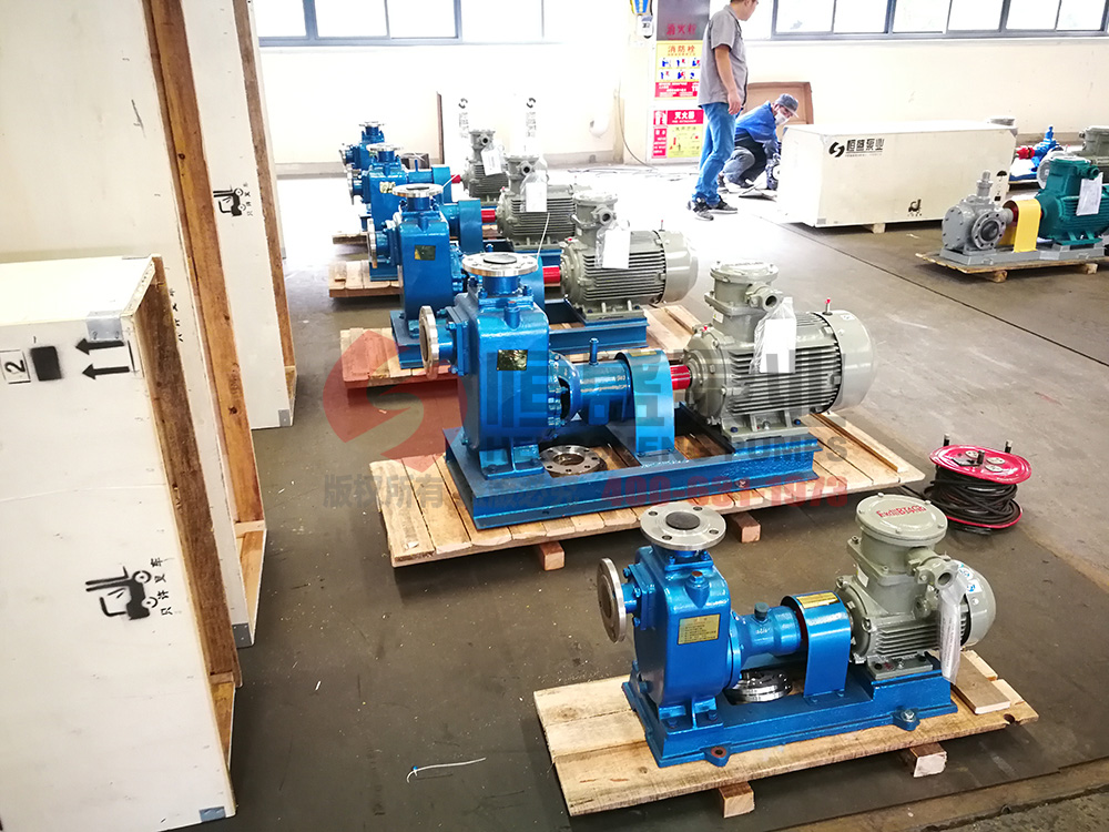 Complete pump assembly with electric motor and base mount