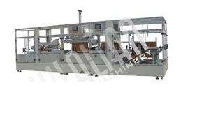 Automatic Carton Packing and Sealing Line