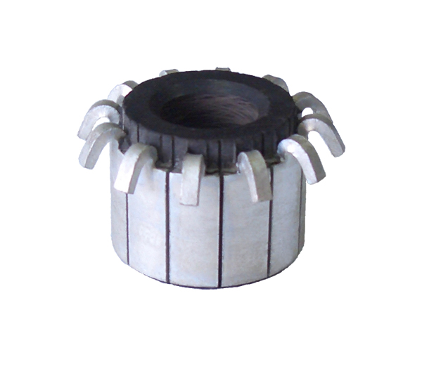 Squirrel Cage Rotor Assembly for Induction Motors