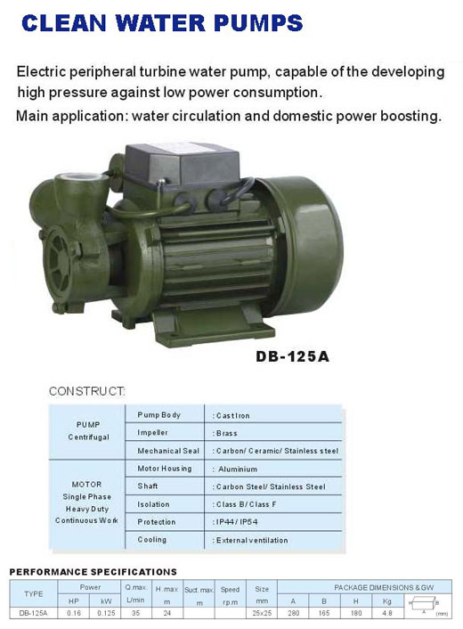 Electric Peripheral Turbine Water Pump