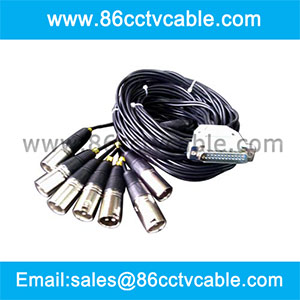 DB25 to 8 XLR Cable
