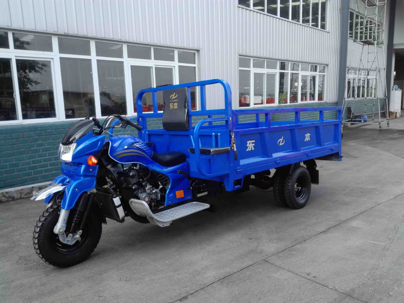 DB250ZH-3A 250CC DOUBLE REAR WHEEL MINI TRUCK CARGO TRICYCLE - Image 3
