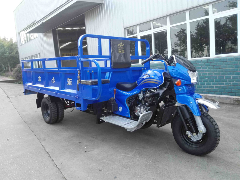 DB250ZH-3A 250CC DOUBLE REAR WHEEL MINI TRUCK CARGO TRICYCLE - Image 2