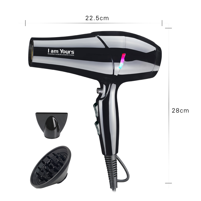 Professional DC Motor Hair Dryer with Concentrator Nozzle