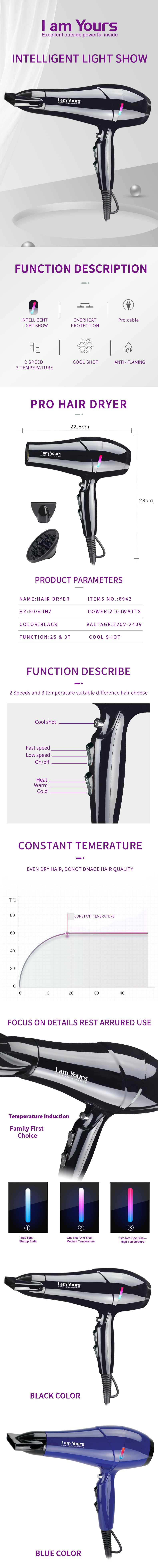 Technical diagram and feature overview of the professional hair dryer