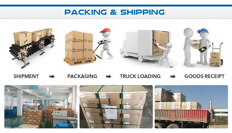 Packaging and Shipping Logistics