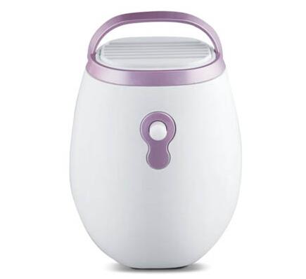 Compact Portable Dehumidifier