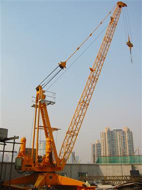 Derrick Tower Crane