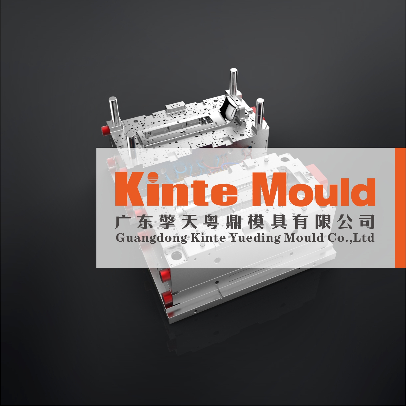 Injection Mold for Appliance Components