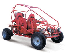 Two-Seat Off-Road Go-Kart with 250cc Engine