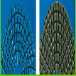 Diamond Abrasive Tools