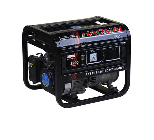 Portable Diesel Generator