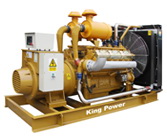 Diesel Power Generator