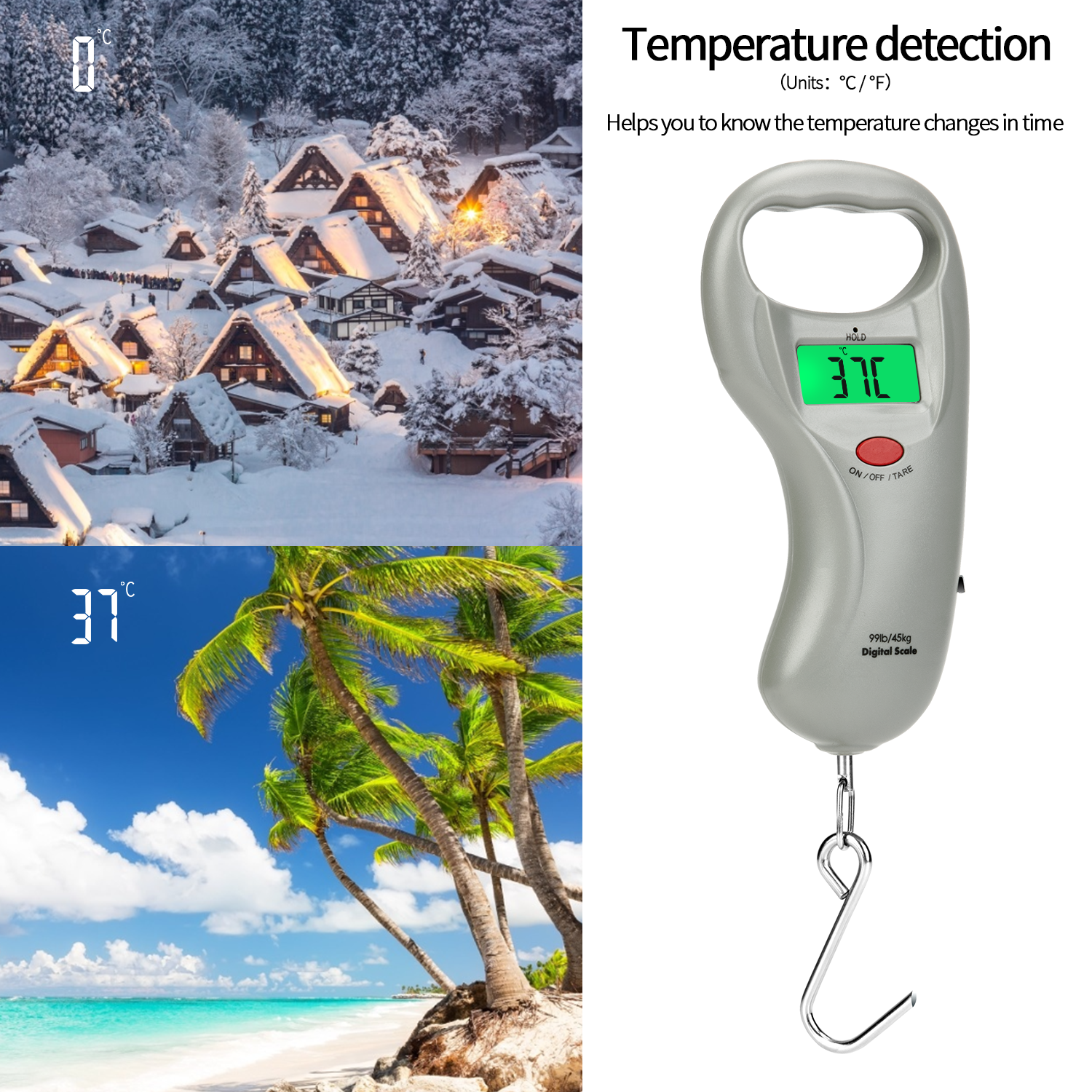 Digital Fishing Scale with Temperature Display