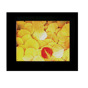 Digital Picture Display Frame