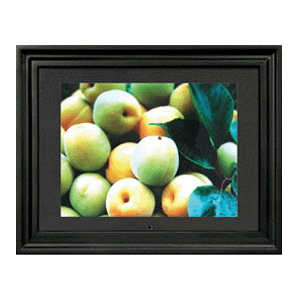 Digital Photo Display