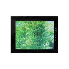 Digital Picture Display with LCD Screen