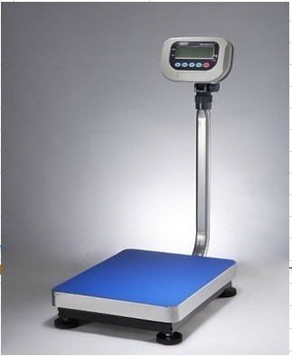 Digital Platform Scale - Image 2