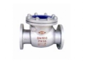 DIN Standard Check Valve
