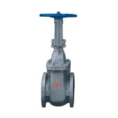 DIN Rising Stem Gate Valve DN 40-700