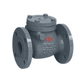 DIN Swing Check Valve DN 50-600